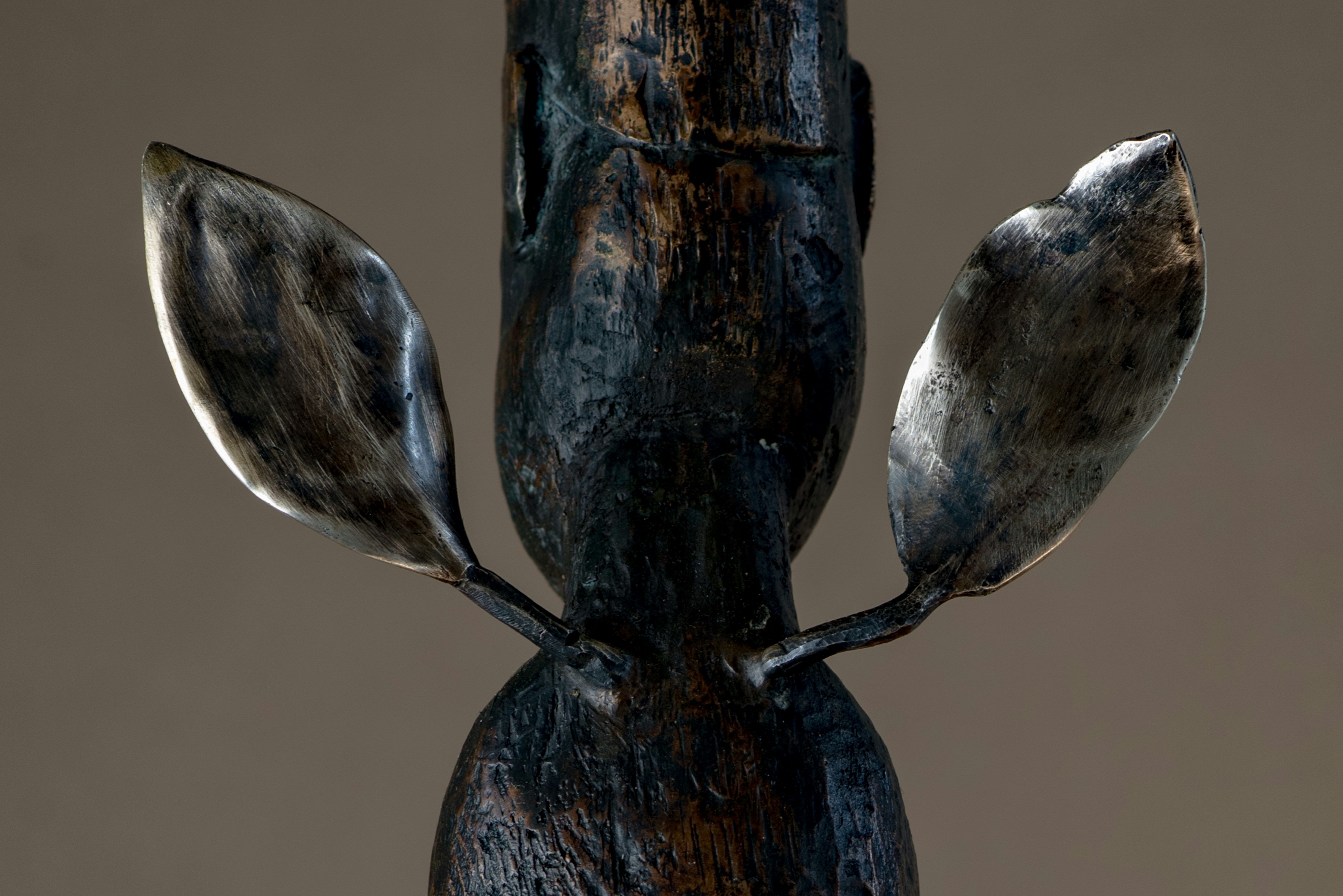 Photo by lauraadaiphoto