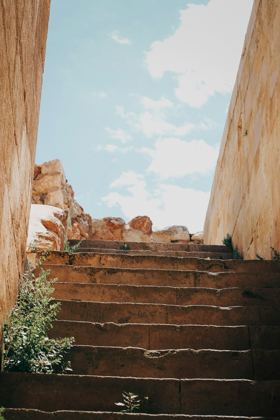 brown rock formation near green plants during daytime