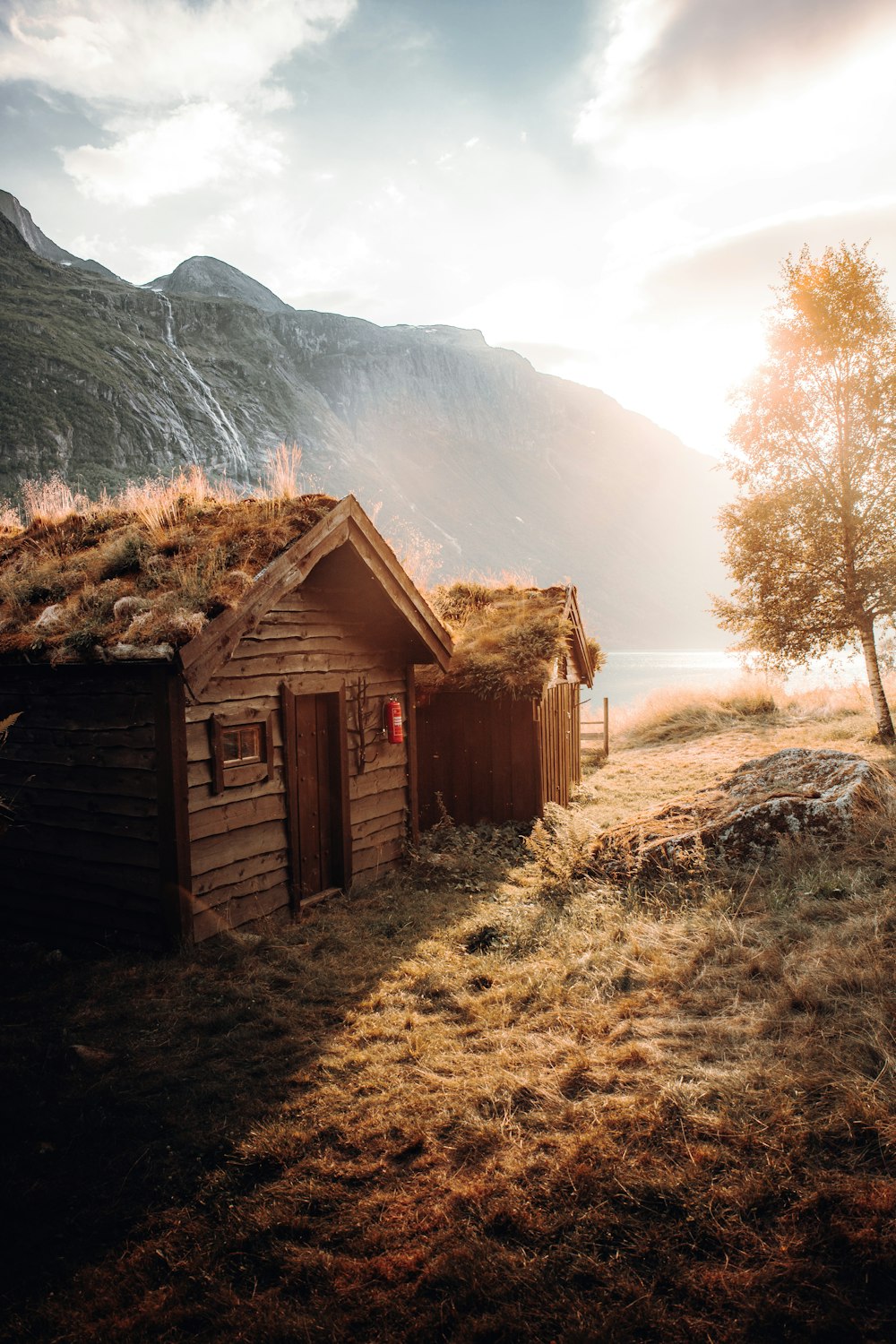 brown wooden house near brown trees and mountain during daytime