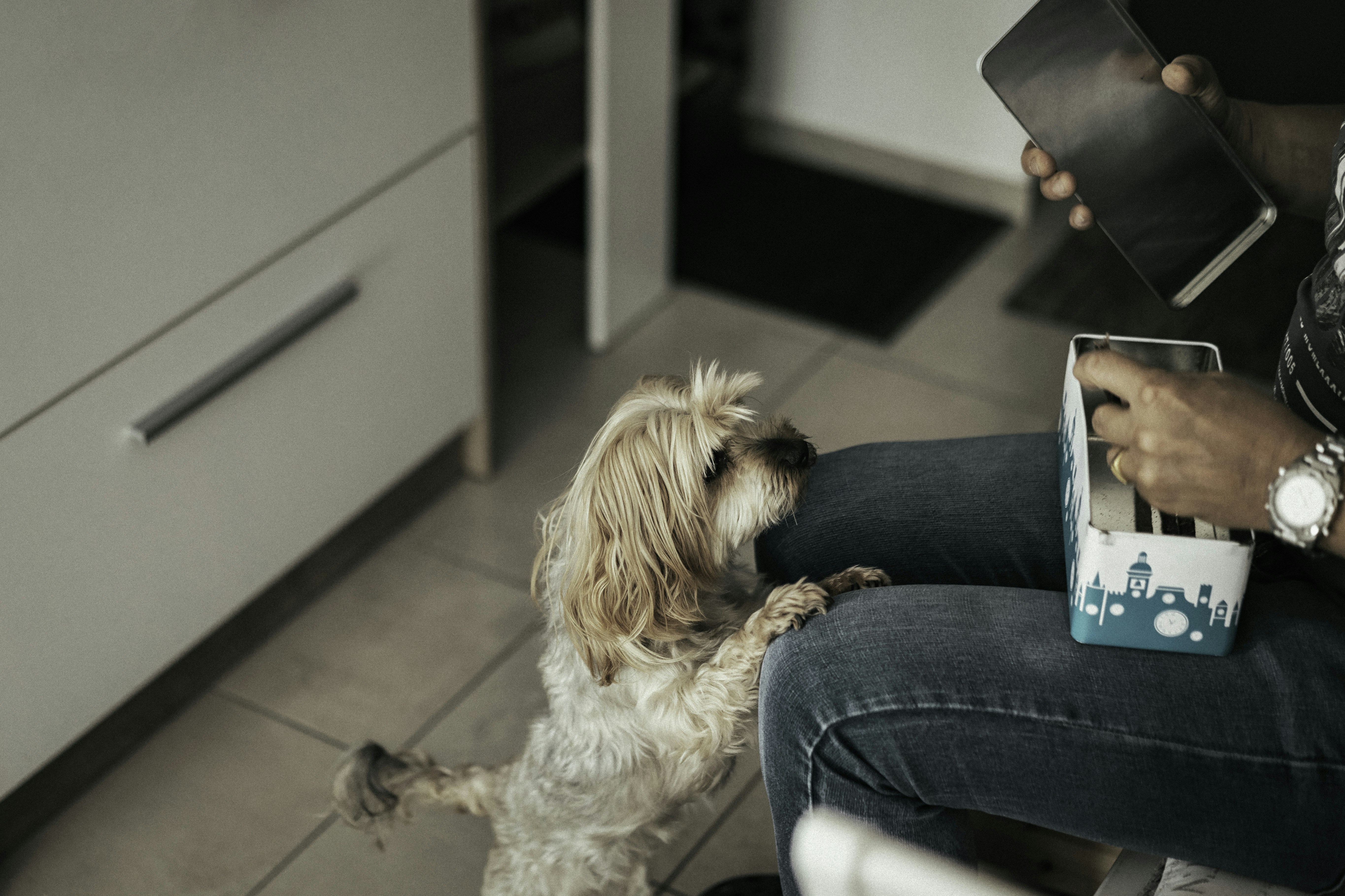 Random unsplash image