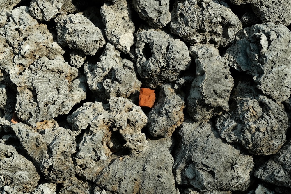 gray and brown stone fragments