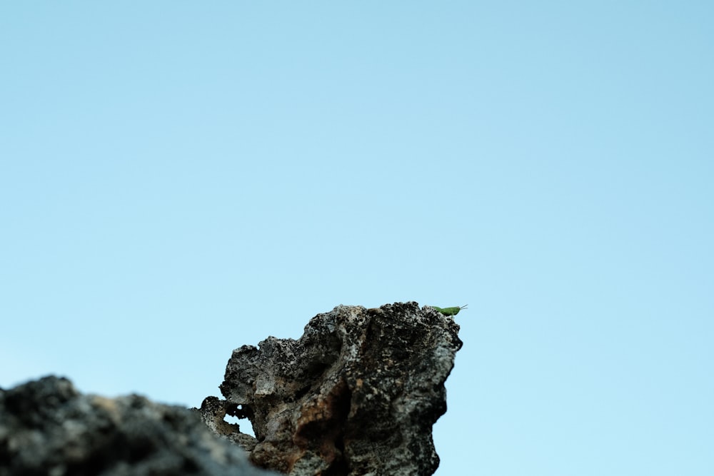 brown rock formation under blue sky during daytime