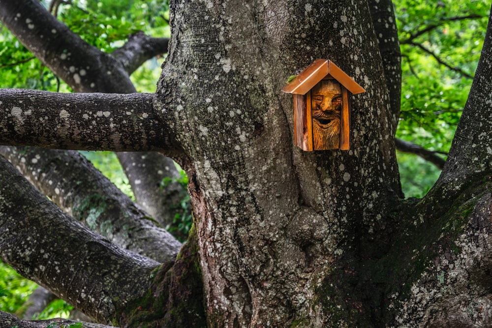 brown wooden birdhouse on tree