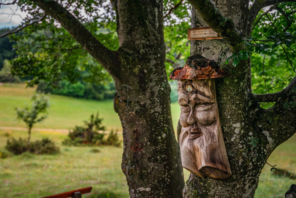 brown wooden bird house on tree