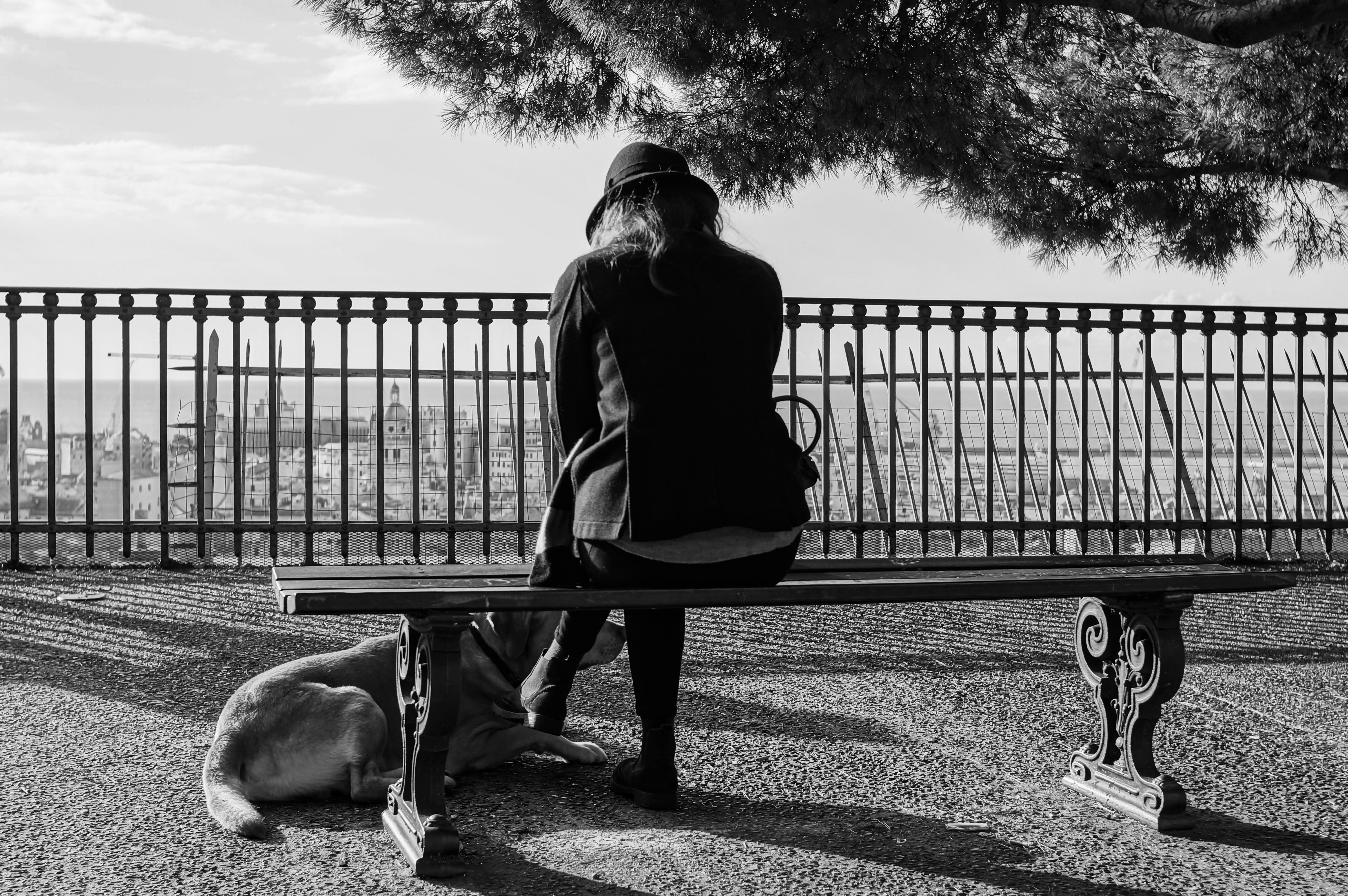 Photo by ahmedsellami