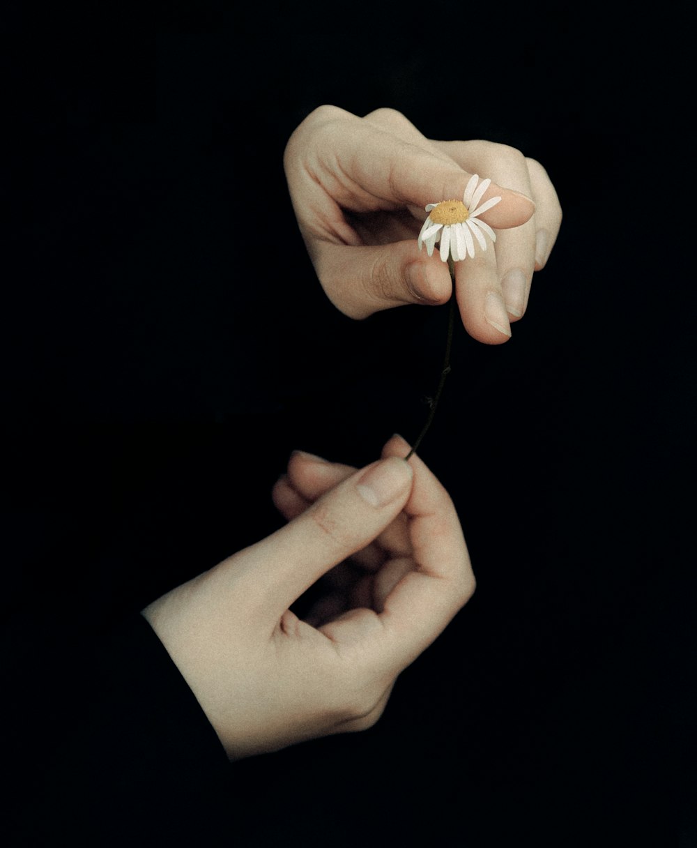 person holding white flower in dark room