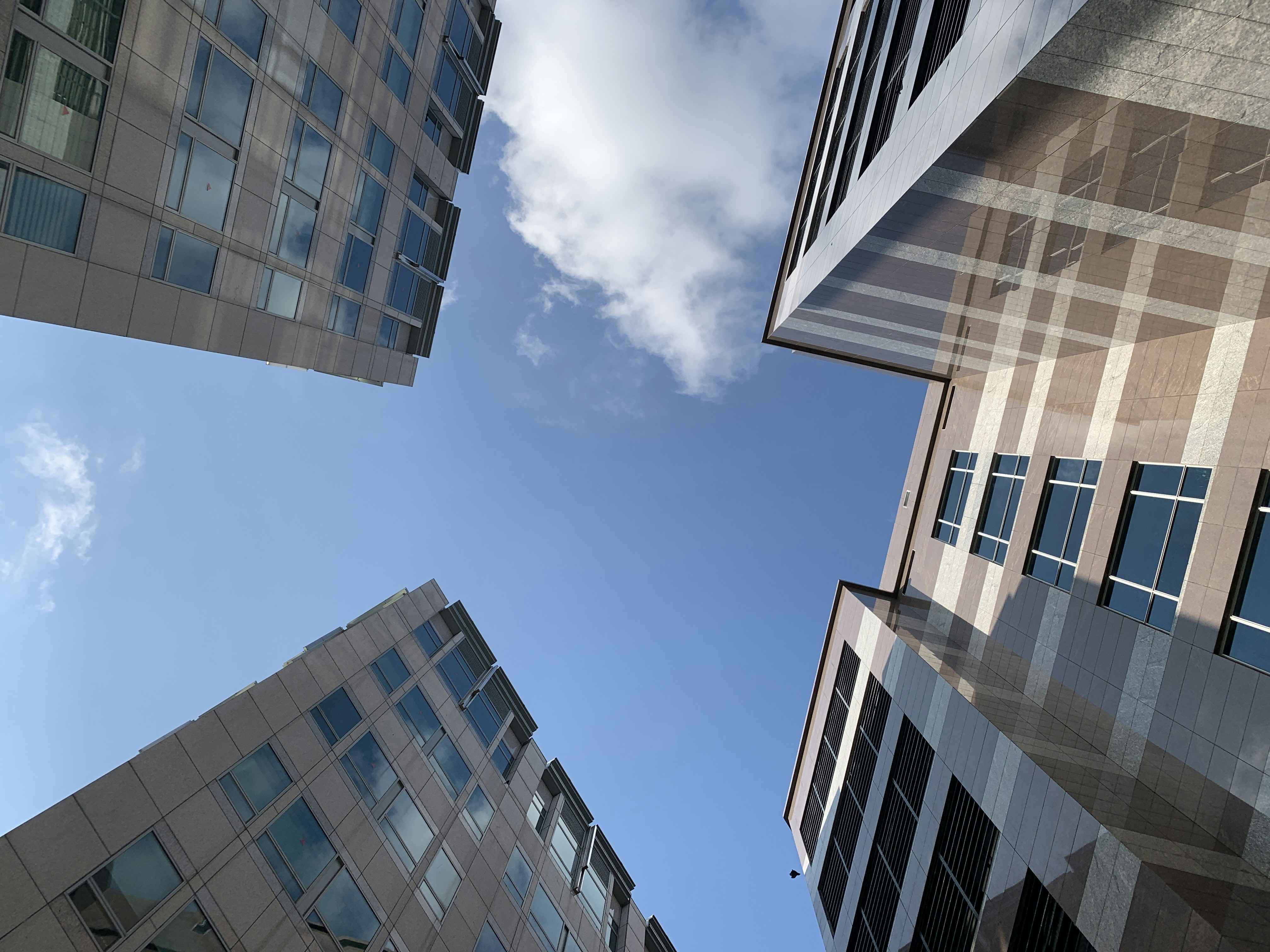 Photo by summersummer1234