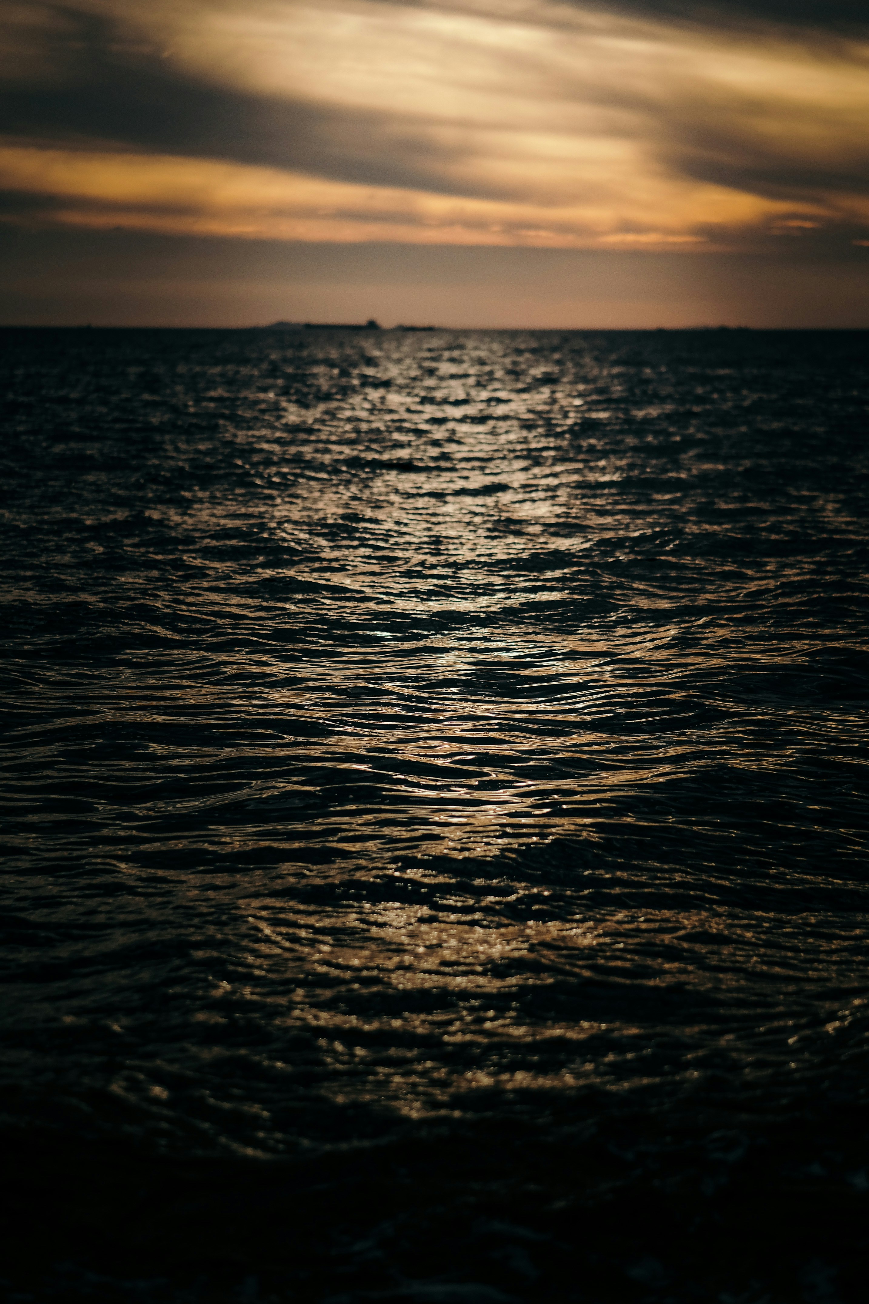 Photo by insungpandora