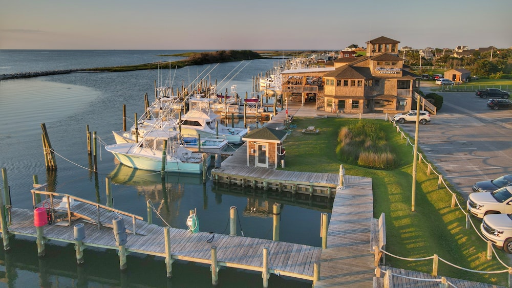 white and blue boat on dock during daytime