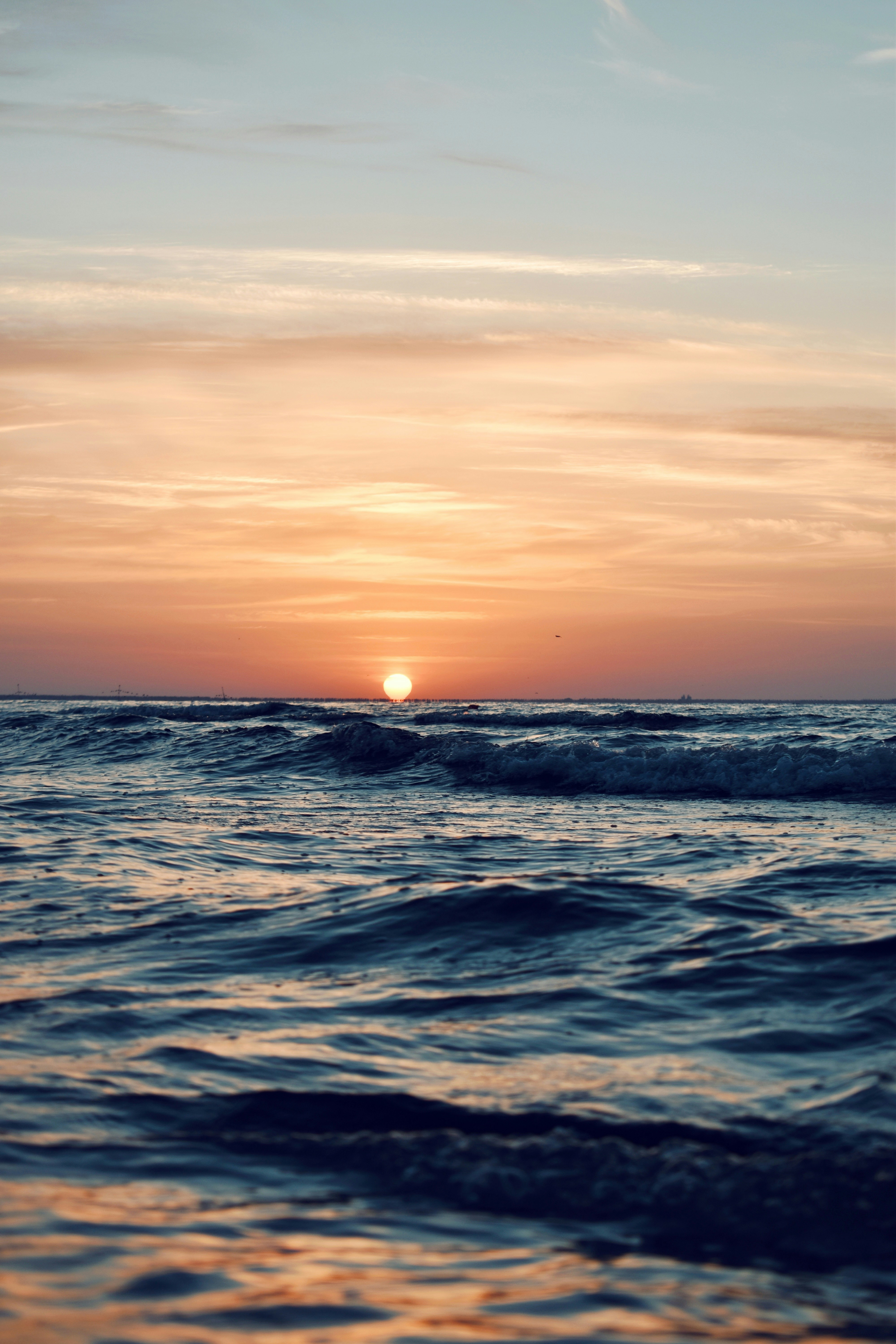 Photo by bianncapatrascu