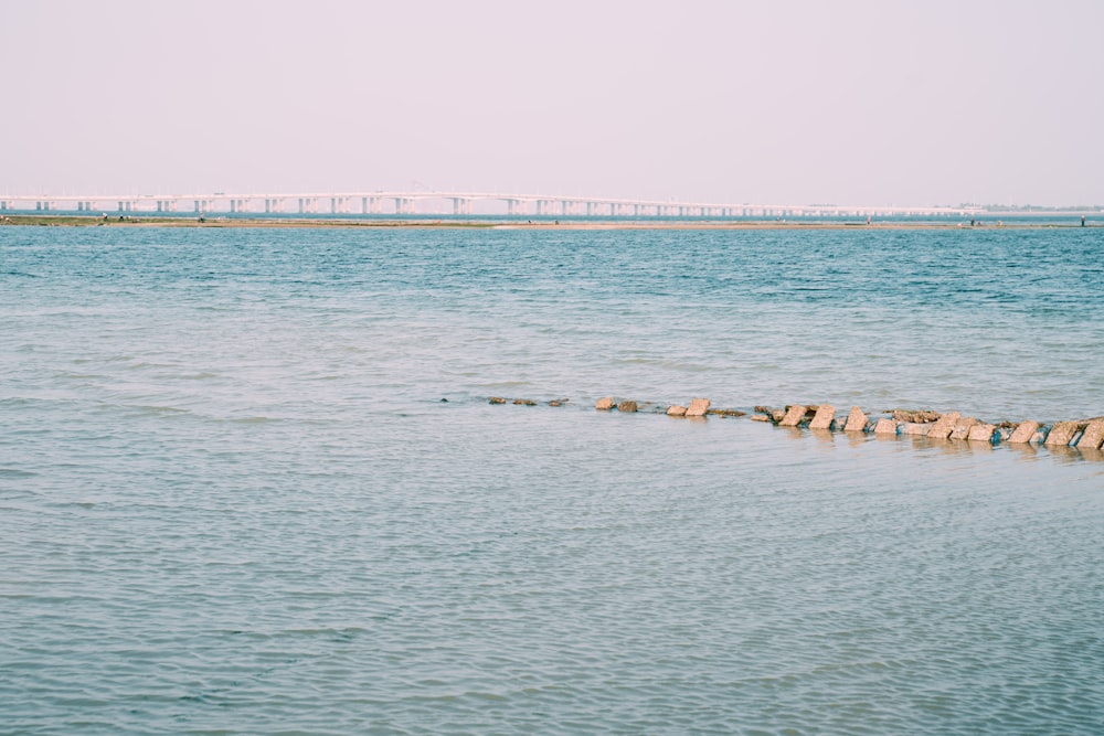 people swimming on sea during daytime