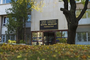 a building with a tree in front of it