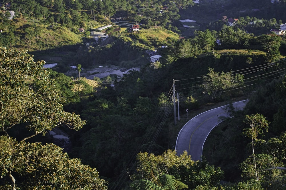 aerial view of green trees and road during daytime