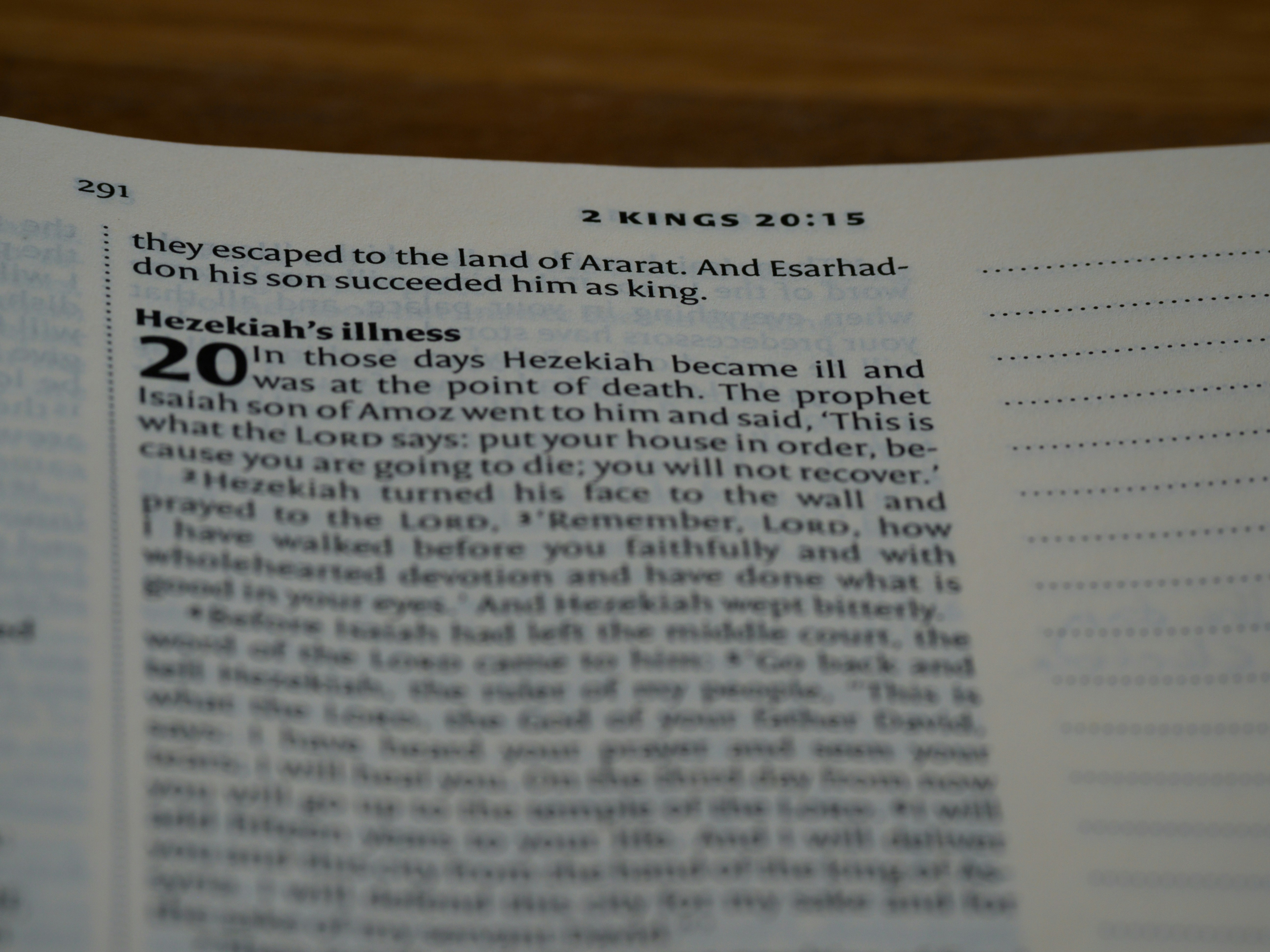 close up, bokeh, macro, blur, blurred background, close focus, bible, old testament, 2 kings, book of kings, kings, ספר מלכים‎, sêp̄er malḵîm,  hebrew bible, destruction of judah, babylon, babylonian exile, Deuteronomistic history, a history of Israel, rabbinic literature, shavuot, christian, judaism, history, text, reading, bible study, devotions, text, NIV, New International Version, type, typography, canon, christianity, holy scripture, holy bible, scripture, tanakh, nevi'im, ketuvim, septuagint,
