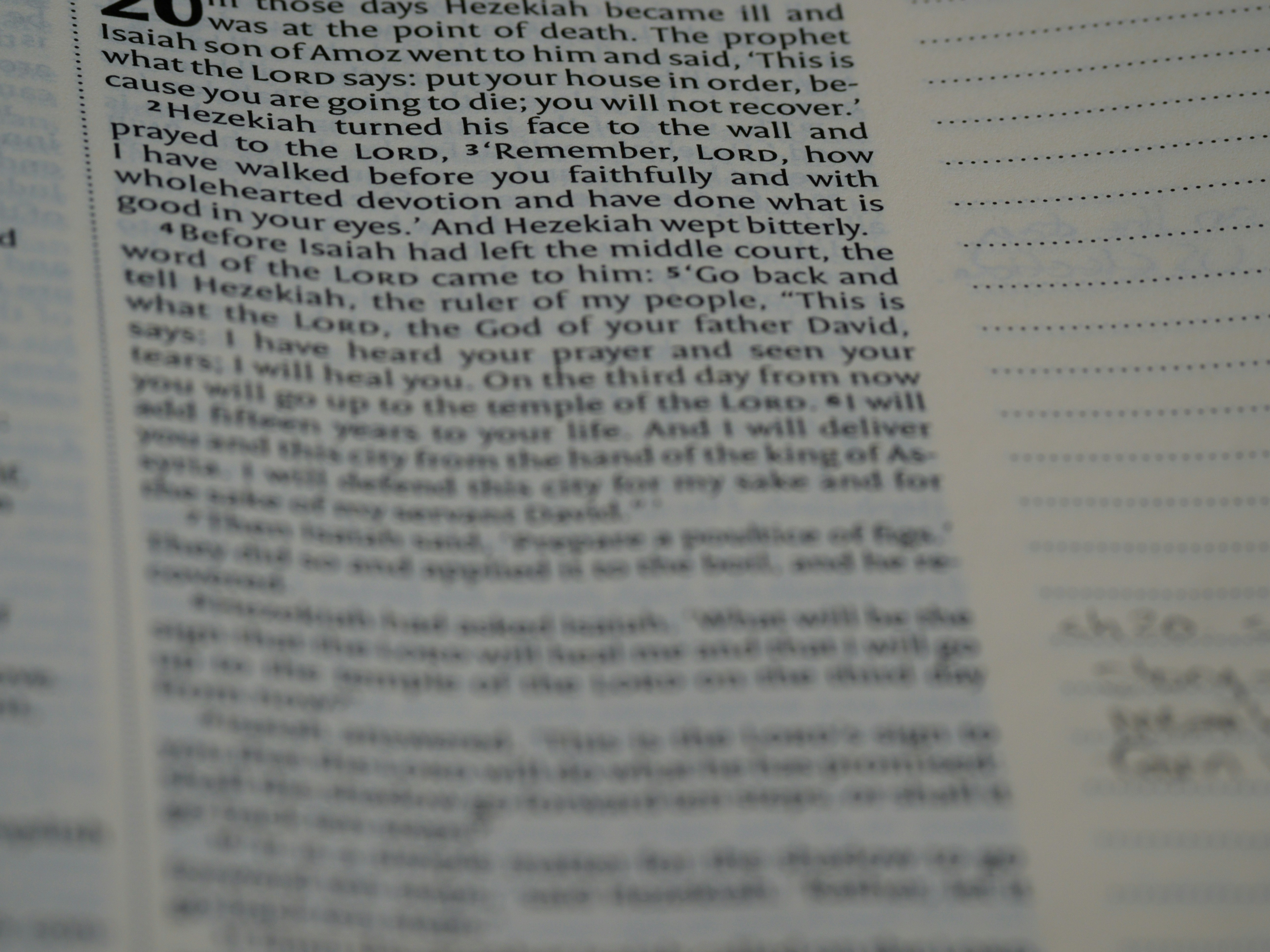 Photo by brett_jordan