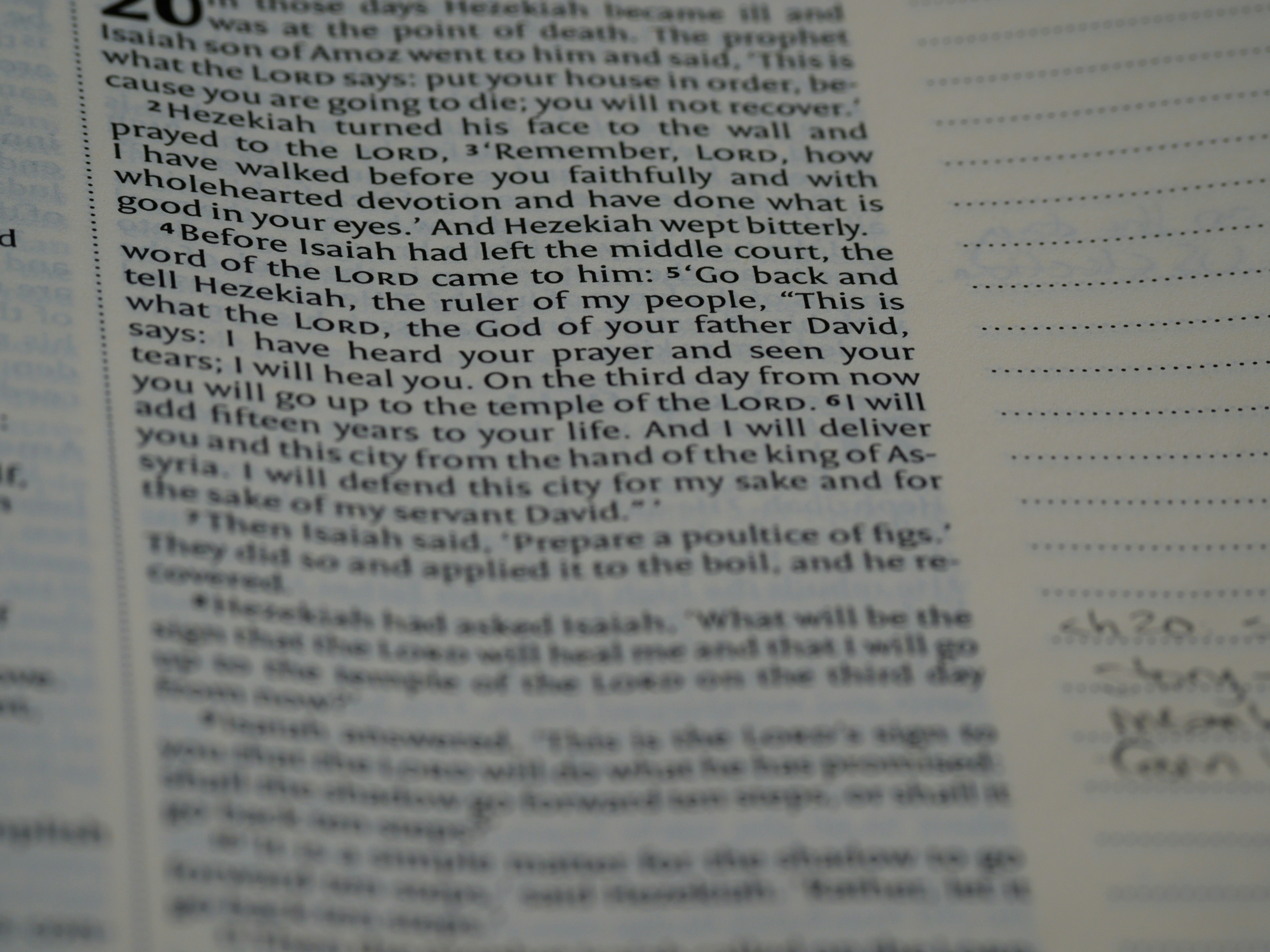 Photo by brett_jordan