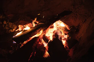 A close-up of glowing embers in a rustic fire pit, casting warm light on wooden tableware.