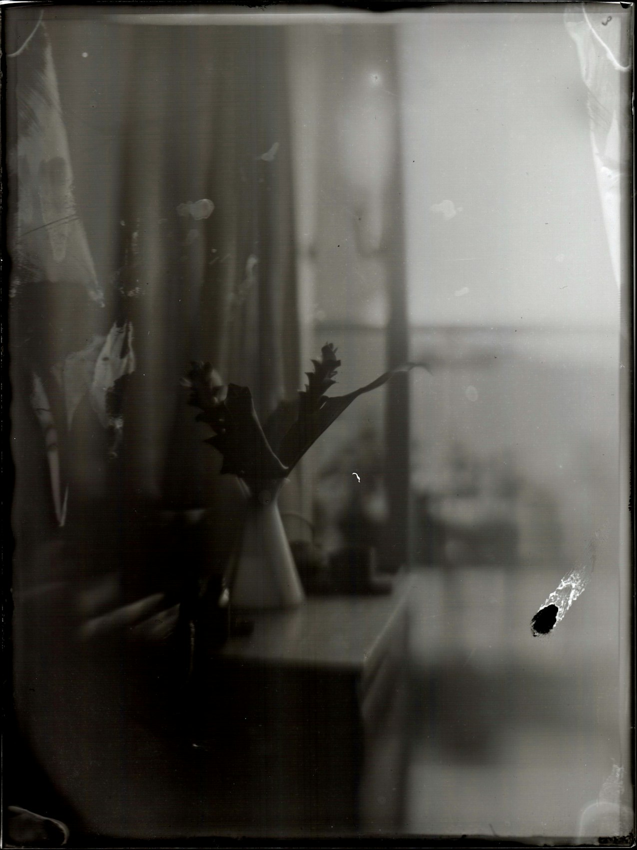 Handmade silver gelatine emulsion on glass