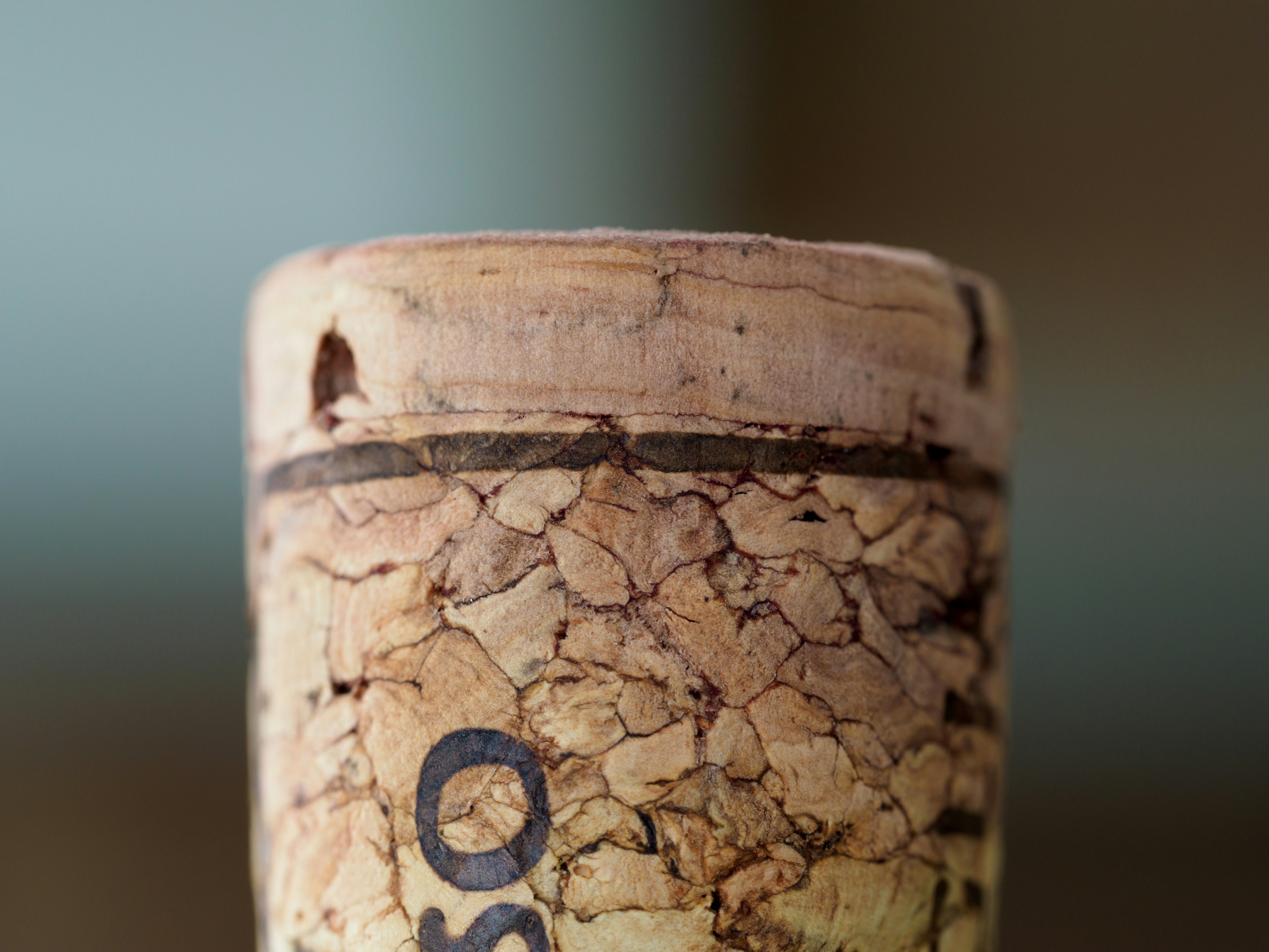 Photo by brett_jordan