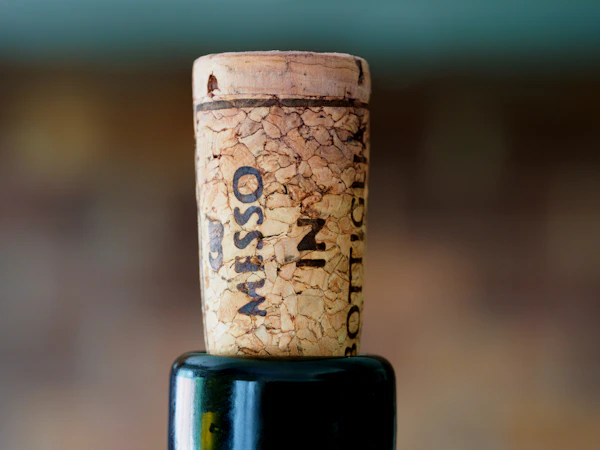 Close-up of a wine bottle label