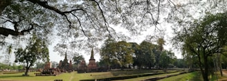Ancient ruins and stupas are set in a lush park with towering trees that provide ample shade. Sunlight filters through the branches, casting a serene light over the historical site. Pathways and grass areas surround the ruins, creating a peaceful atmosphere.