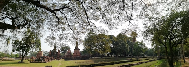 Ancient ruins and stupas are set in a lush park with towering trees that provide ample shade. Sunlight filters through the branches, casting a serene light over the historical site. Pathways and grass areas surround the ruins, creating a peaceful atmosphere.
