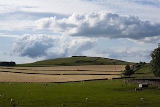 A picturesque landscape of rolling green hills in Ireland, dotted with sheep.