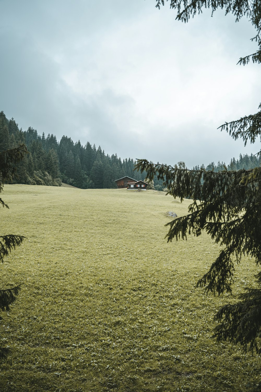 green grass field with trees under white clouds during daytime