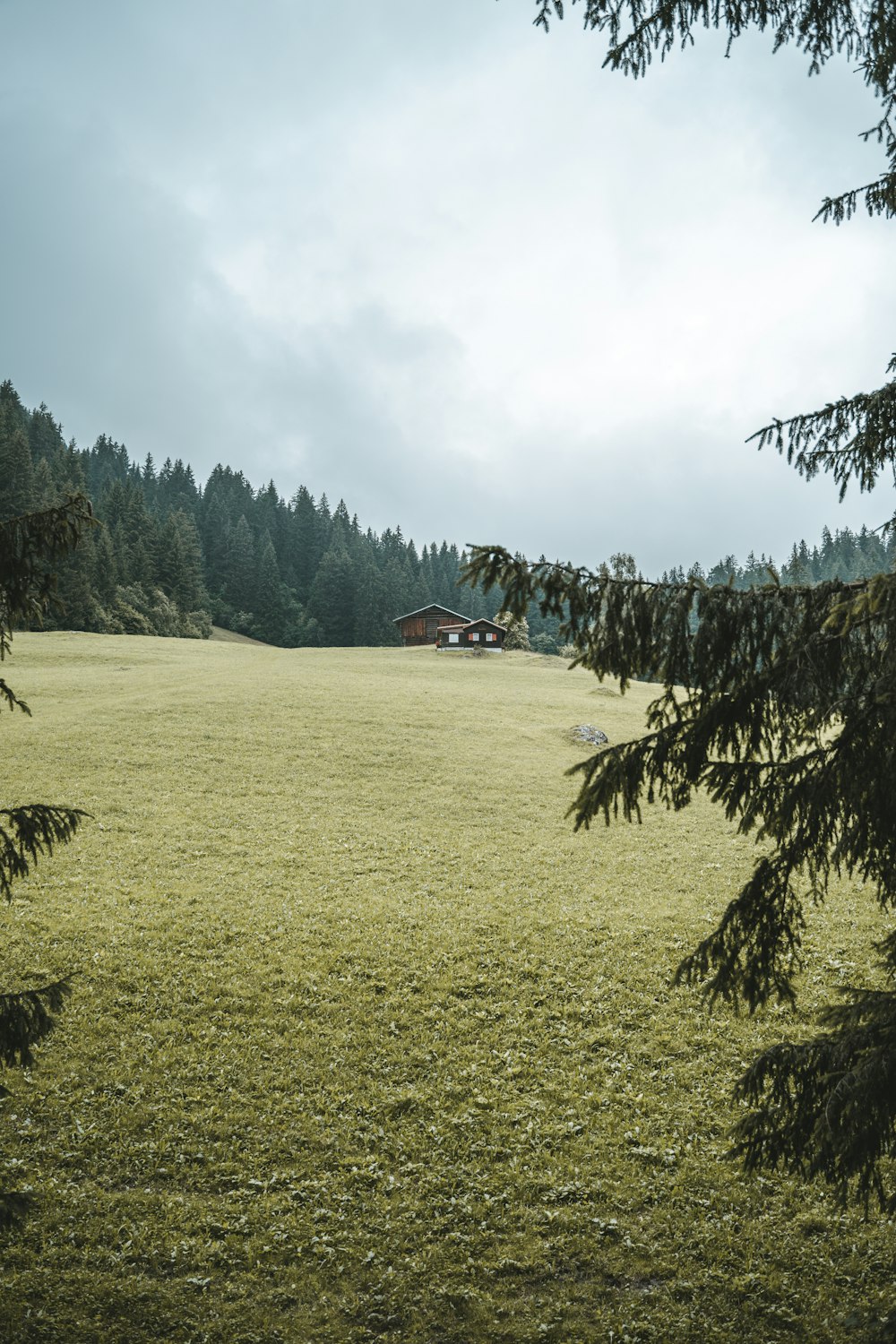 Grünes Grasfeld mit Bäumen unter weißen Wolken tagsüber
