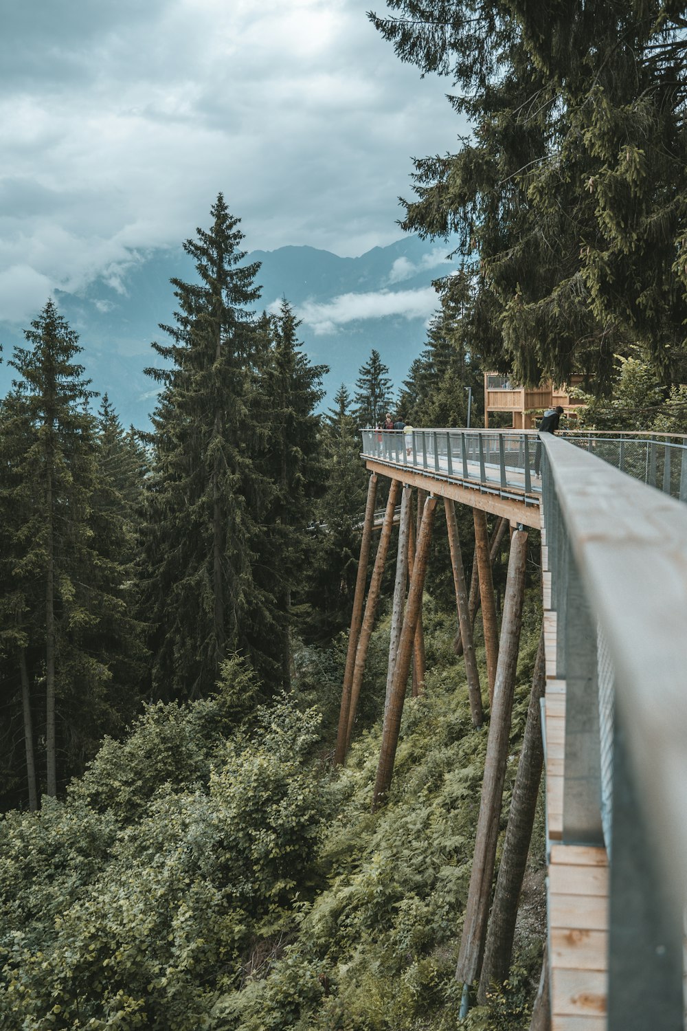 Braune Holzbrücke über grüne Kiefern unter weißen Wolken und blauem Himmel tagsüber
