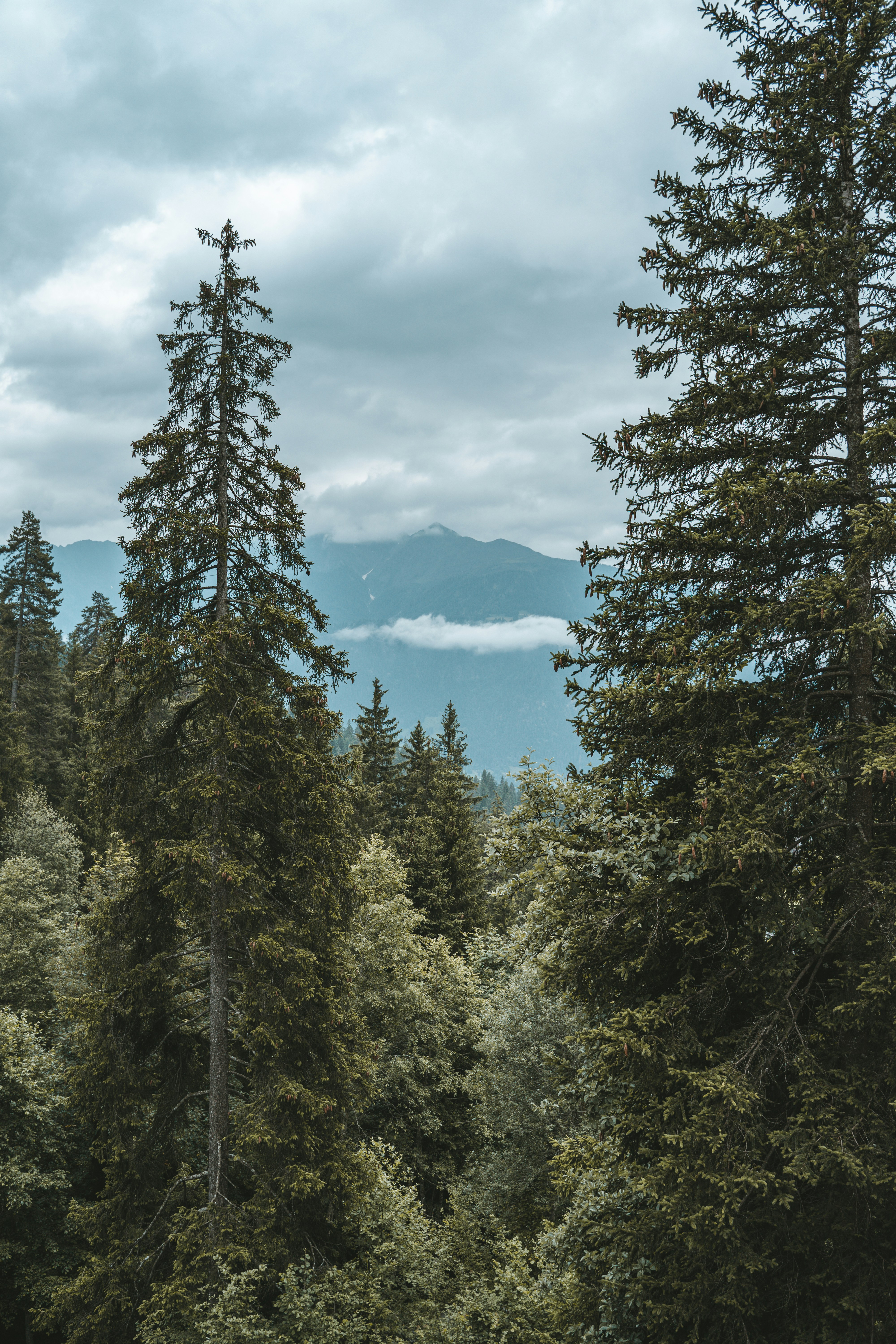 Photo by simara_bernardo