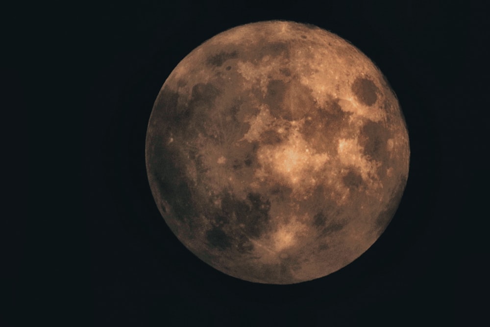 brown and black full moon