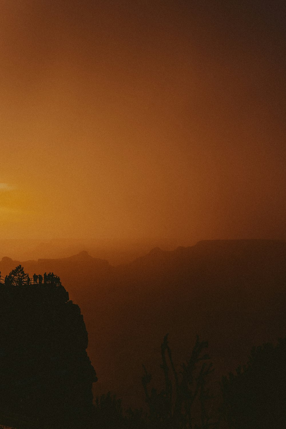 silhouette of trees during sunset