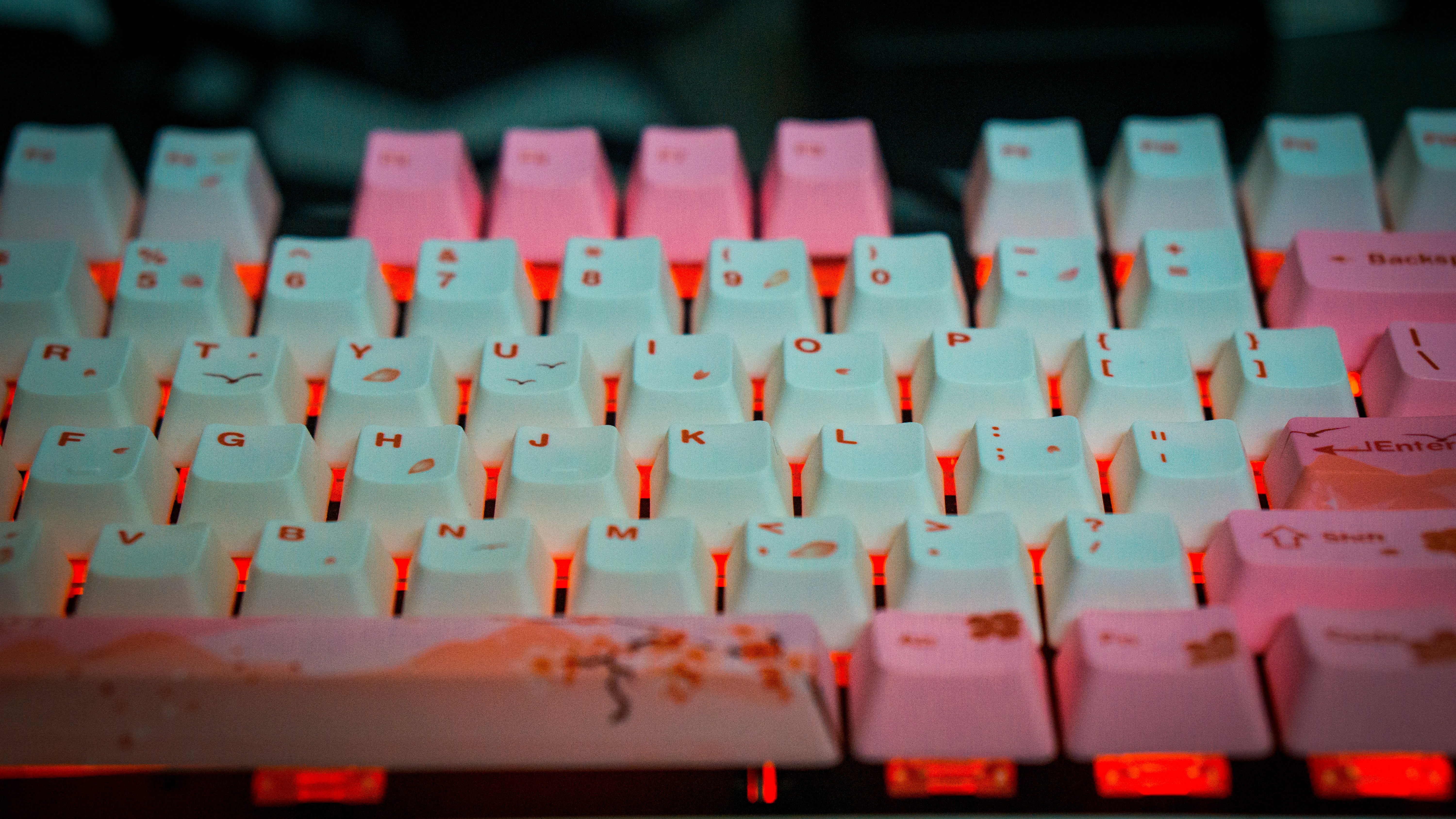 The Dev's Dojo: Reinventing Typing Practice for Code