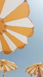 yellow and orange umbrella under blue sky during daytime