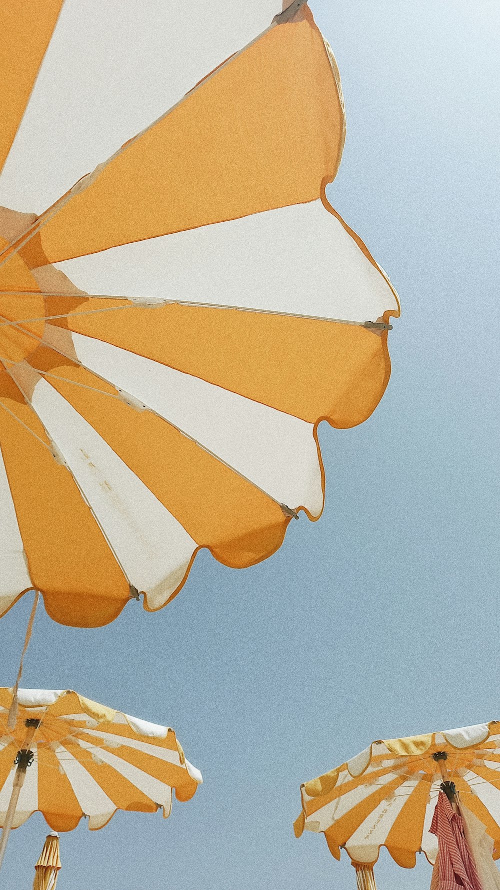 昼間の青空の下に黄色とオレンジ色の傘