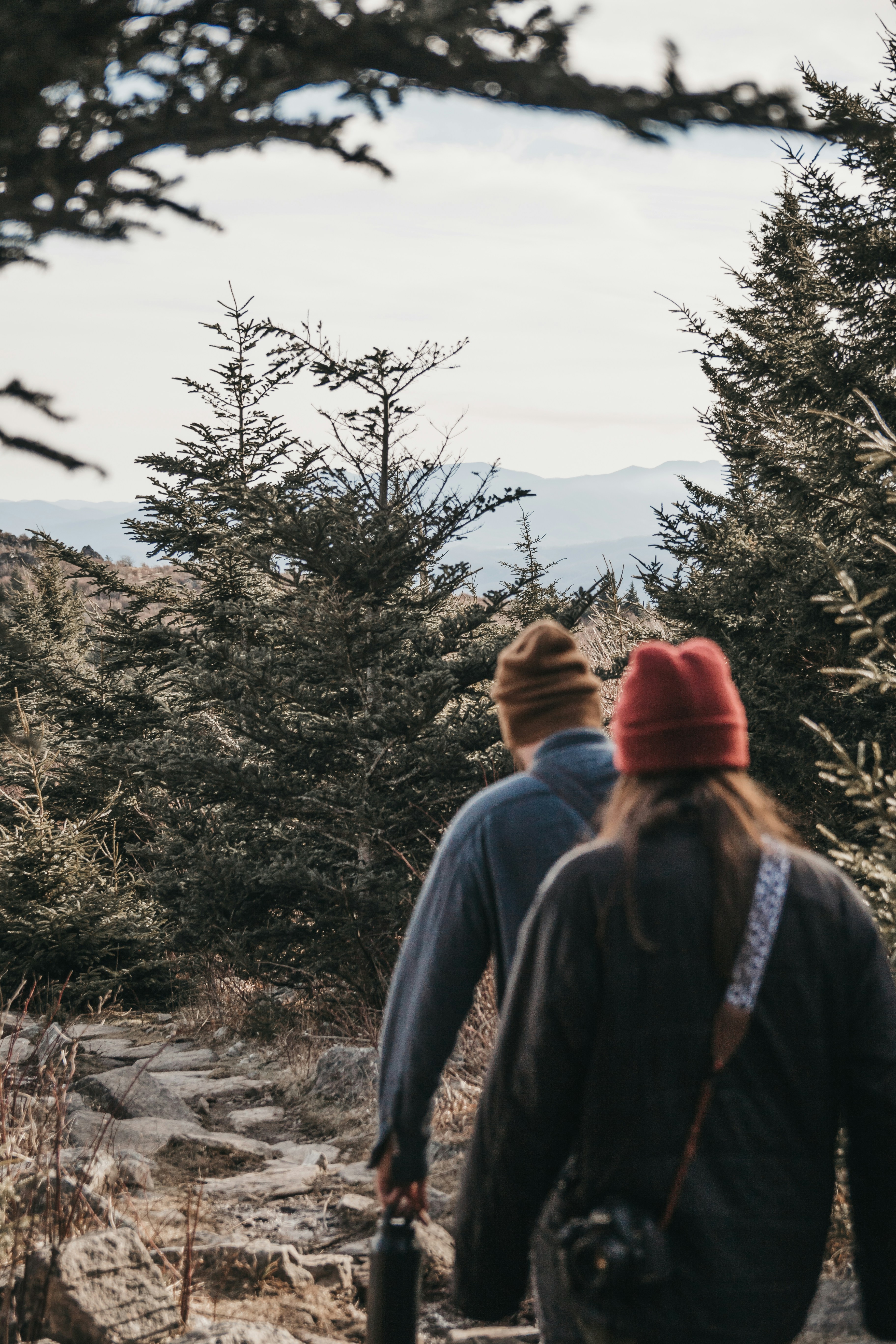 Photo by tanleemarquis