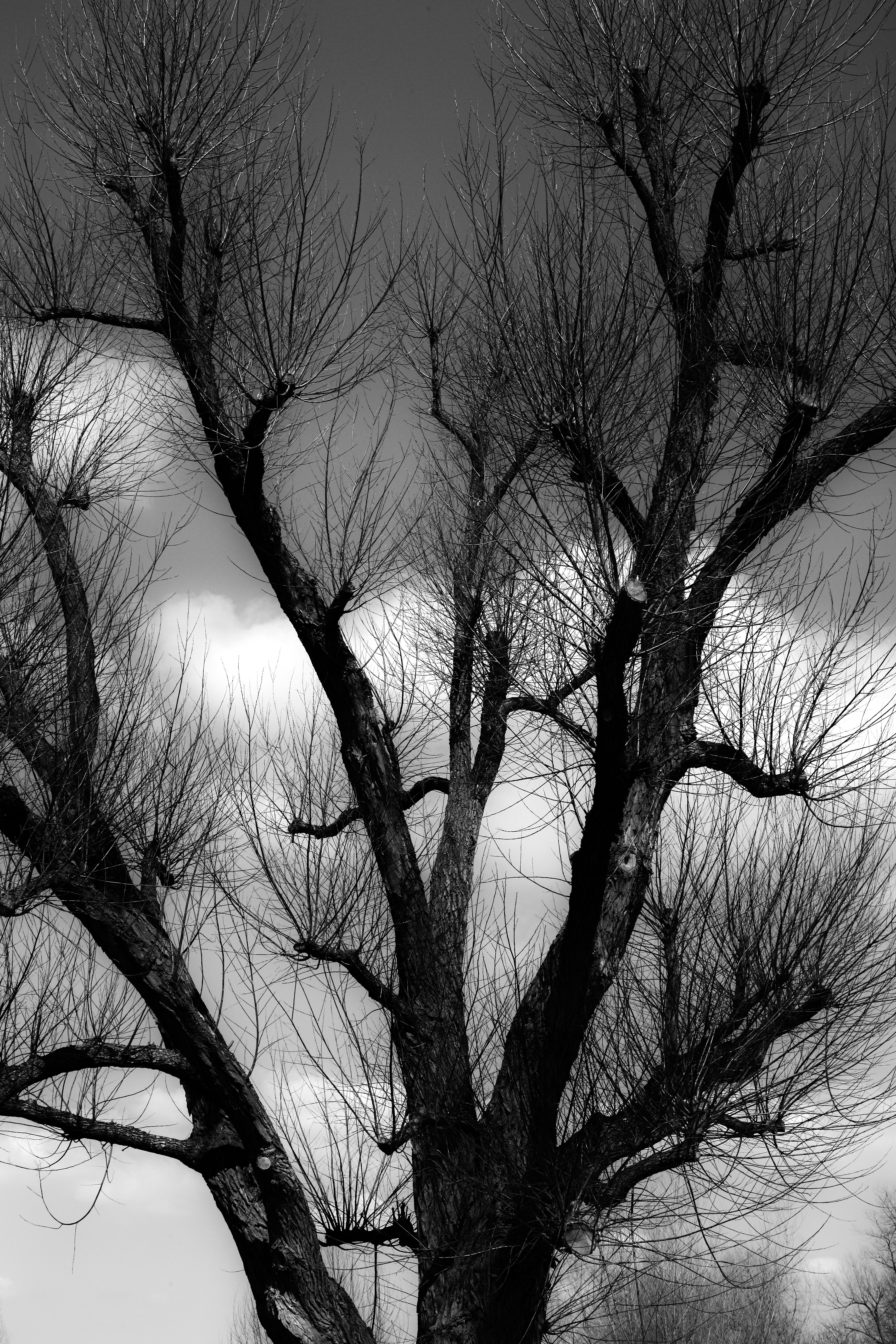 Photo by wilhelmgunkel