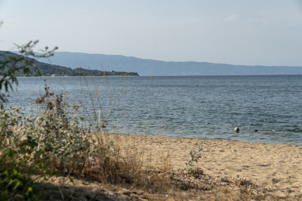 Olympiada Traveler: Culture, Customs, Festivals