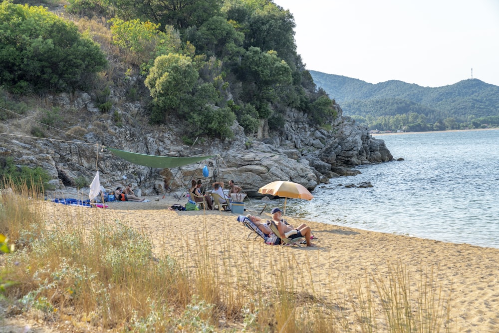 people on beach during daytime