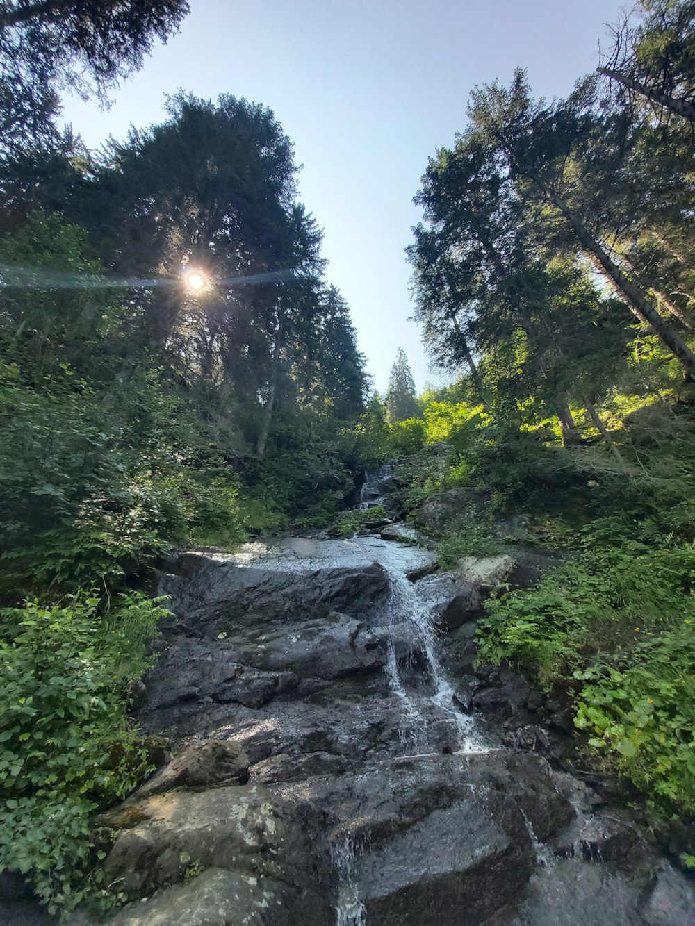 waterfalls between green trees under blue sky during daytime