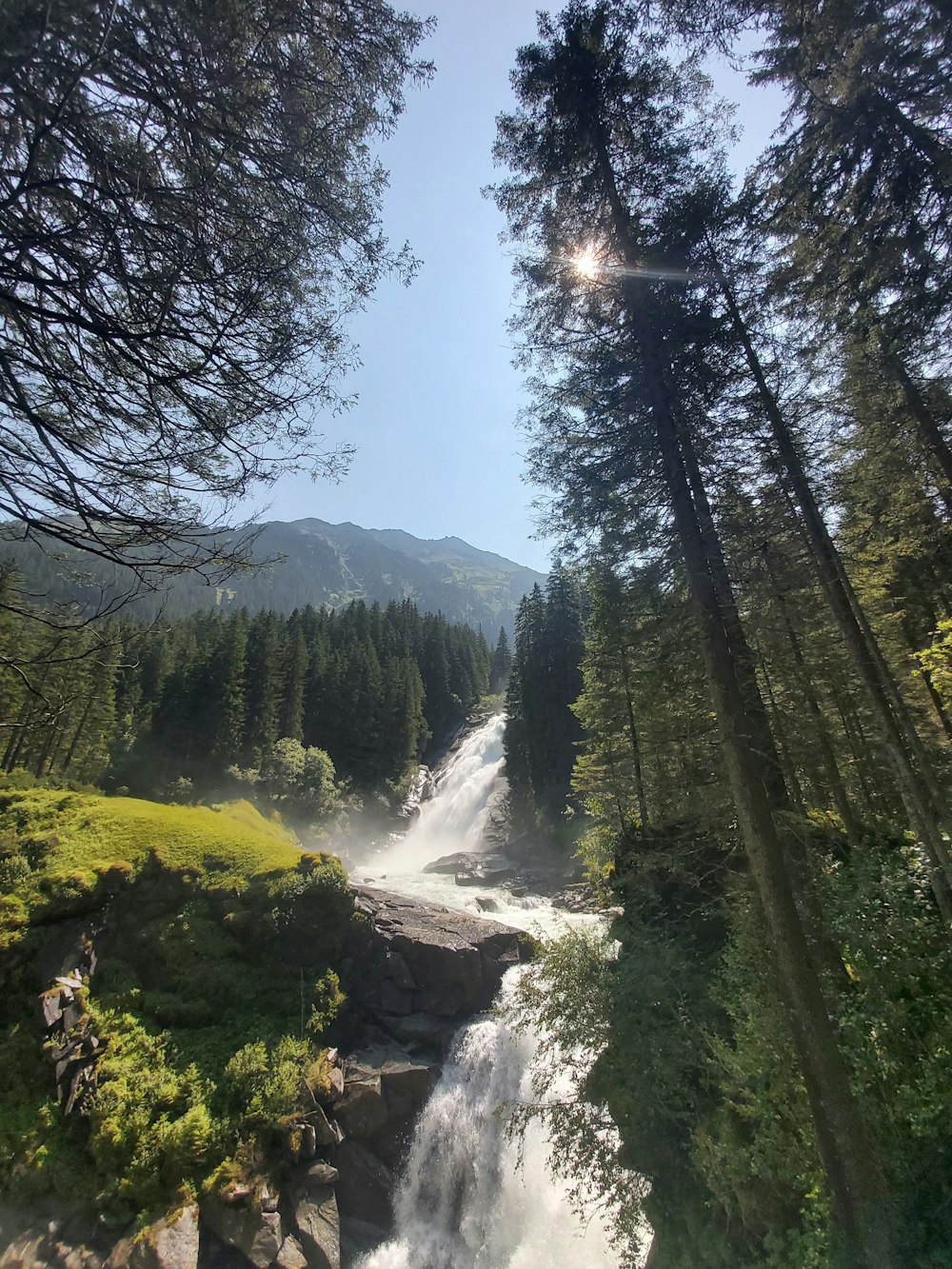 昼間の山の緑の木々