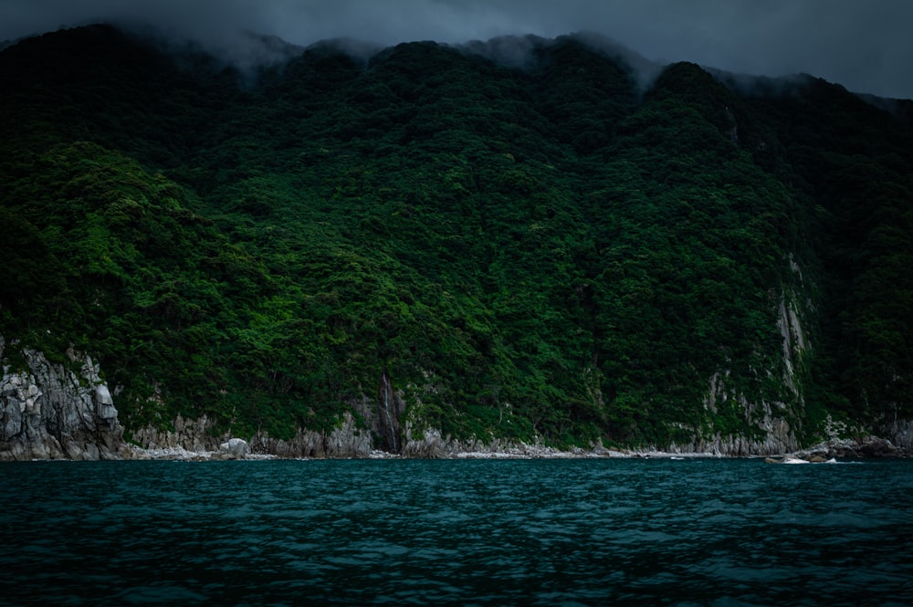 green trees beside body of water during daytime