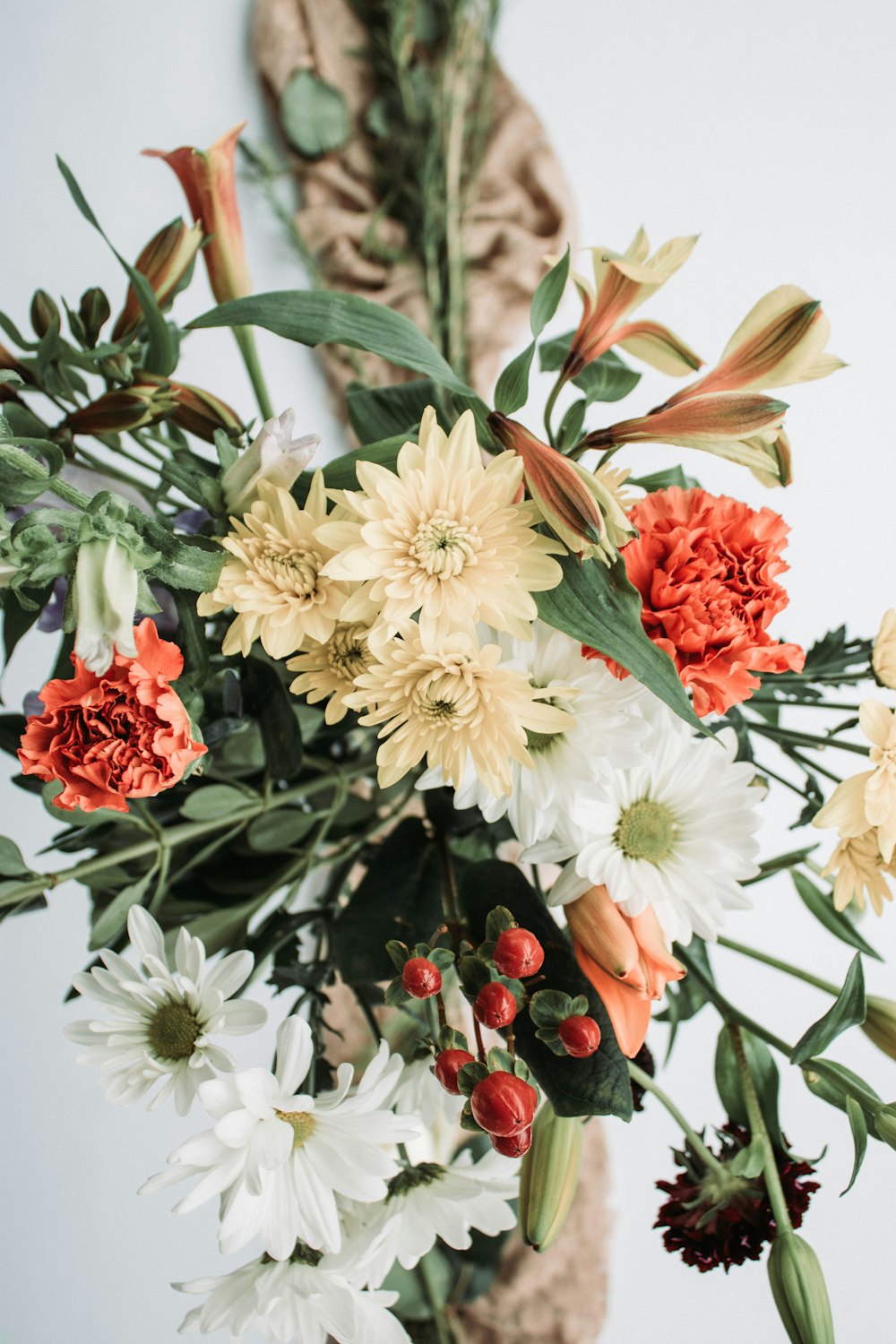 white and red flowers with green leaves