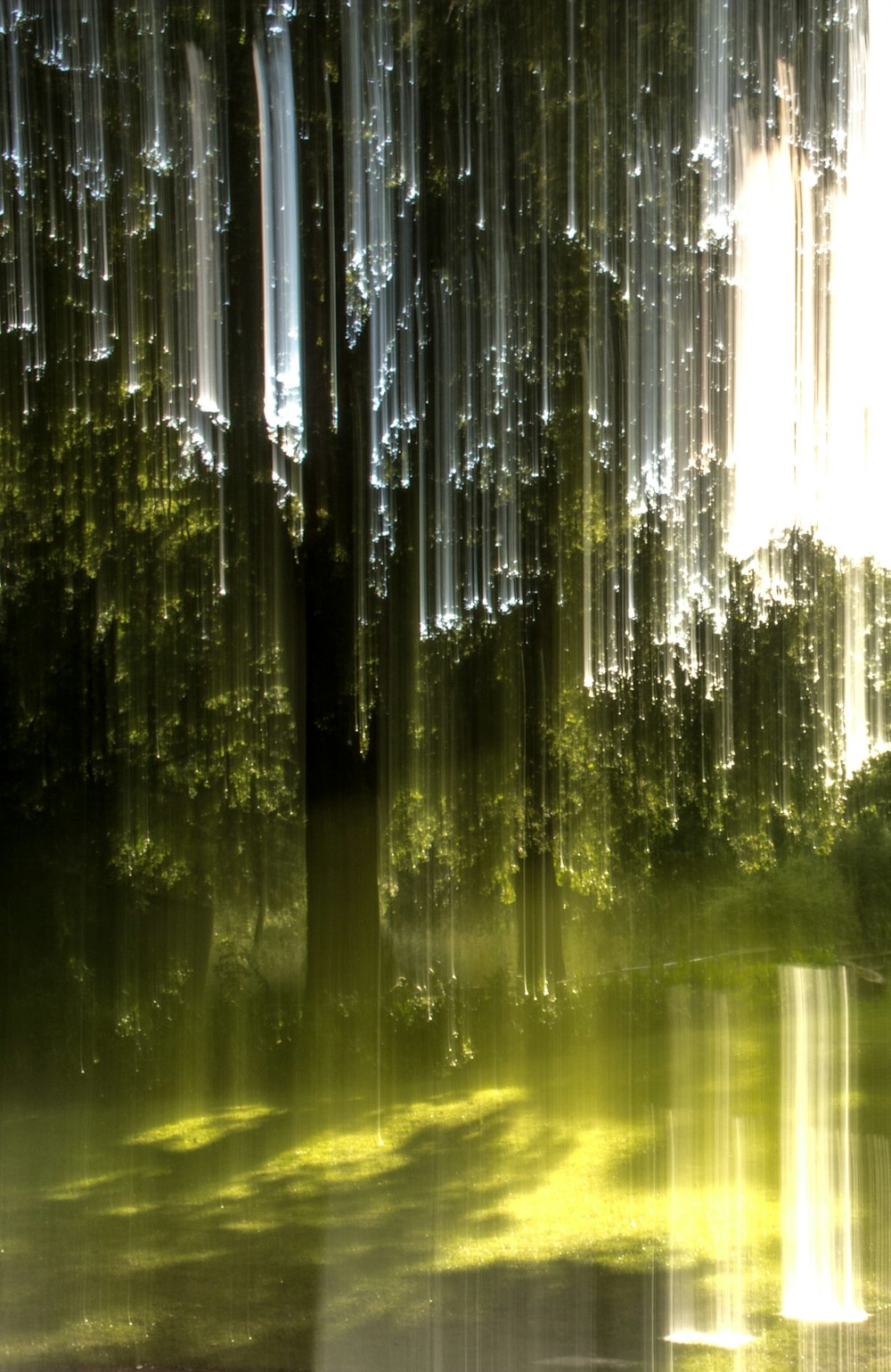 green trees on green grass field during daytime