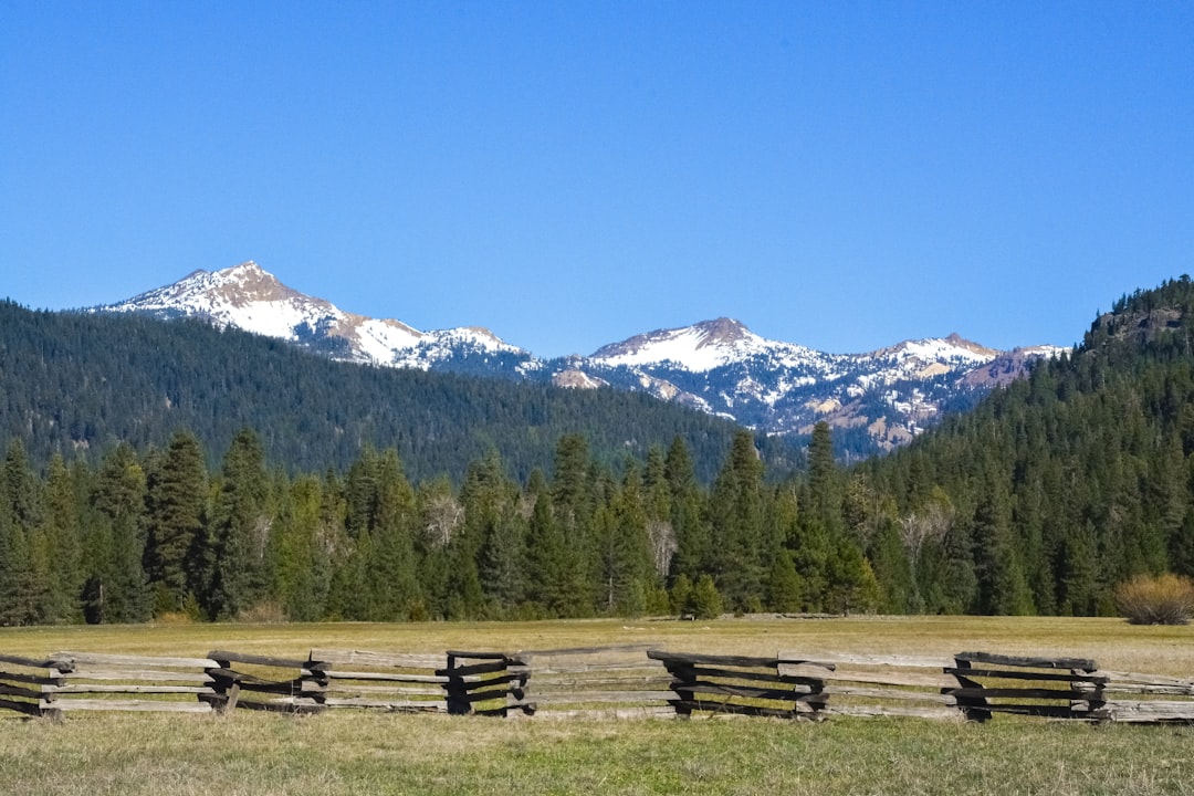 green trees near snow covered mountain during daytime