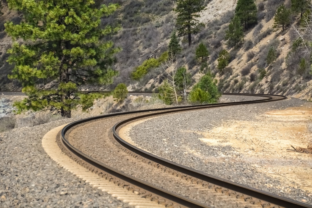 brown train rail near green trees during daytime