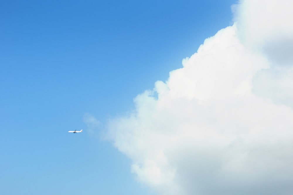 aeroplano che vola nel cielo durante il giorno