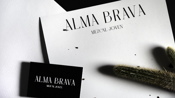 ブランドアイデンティティの転換