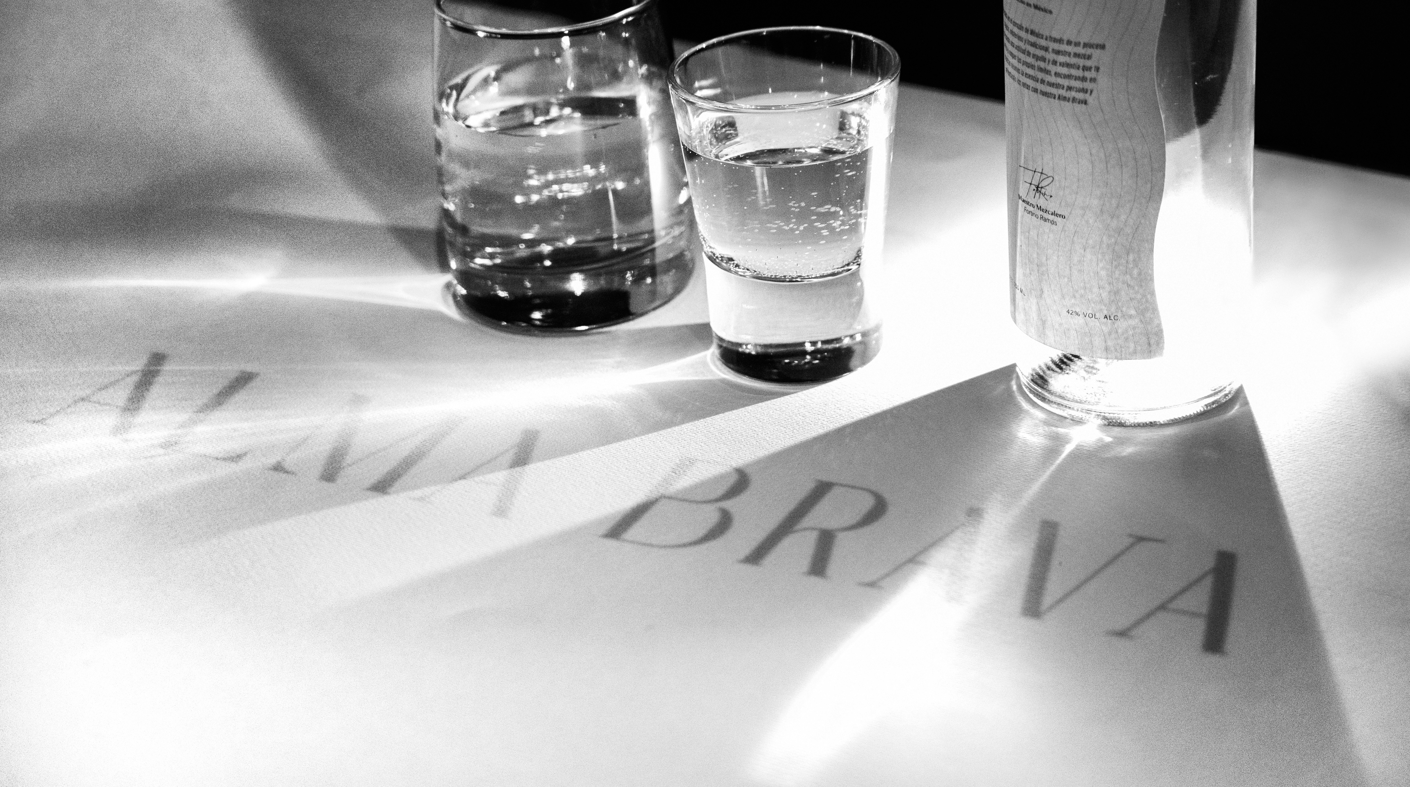 Garrafón Purificado